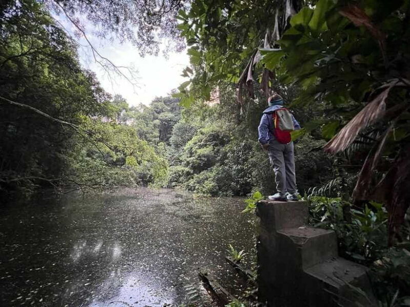 hiking-tour-to-seah-im-bunker-mount-faber-and-henderson