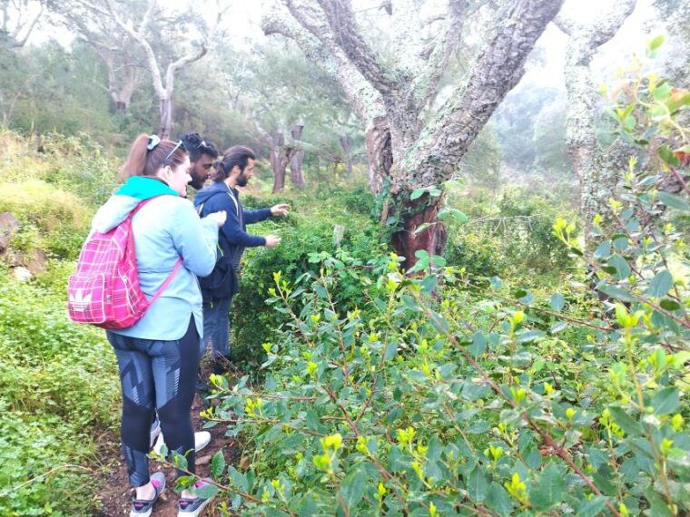 hiking-tour-to-the-highest-point-of-arrabida-mountain
