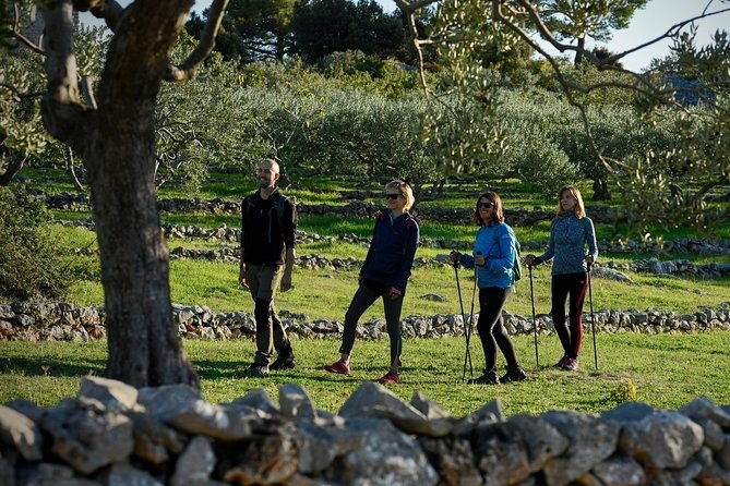 hiking-tour-vidova-gora-and-visiting-museum-of-olive-oil