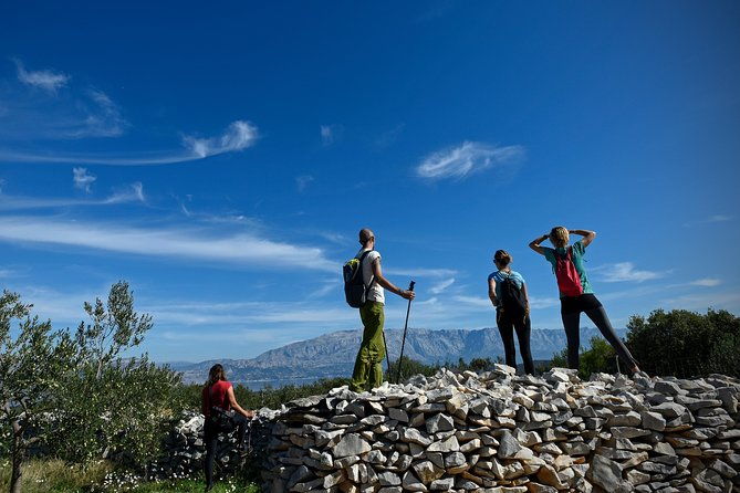 hiking-tour-vidova-gora-and-visiting-museum-of-olive-oil