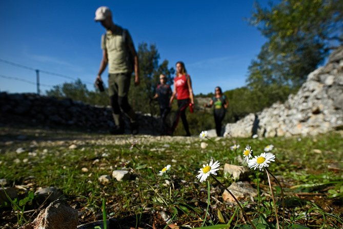 hiking-tour-vidova-gora-and-visiting-museum-of-olive-oil