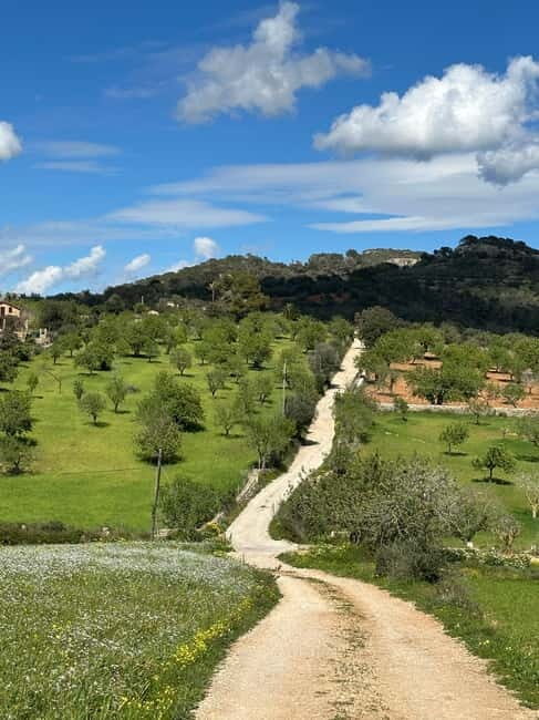 Hiking tour with a dream view of the former monastery of Sant Salvador, 3-4 hours. - The Village and Lunch Stop