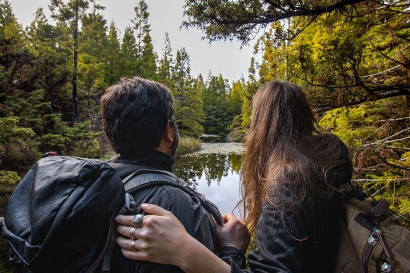 Hiking Trails - Exploring the Natural Landscapes of Terceira Island