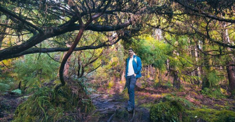 Hiking Trails - The Trail and Key Highlights