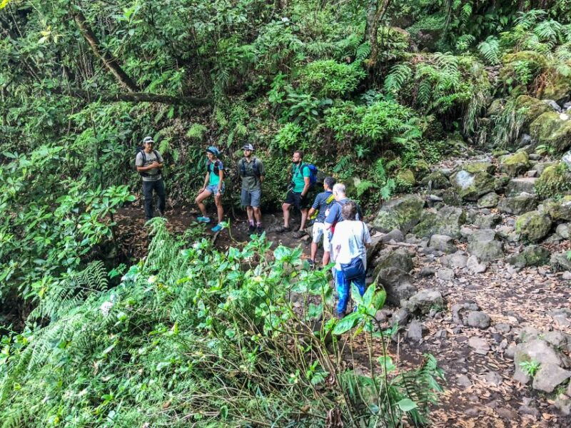 hiking-trip-with-a-local