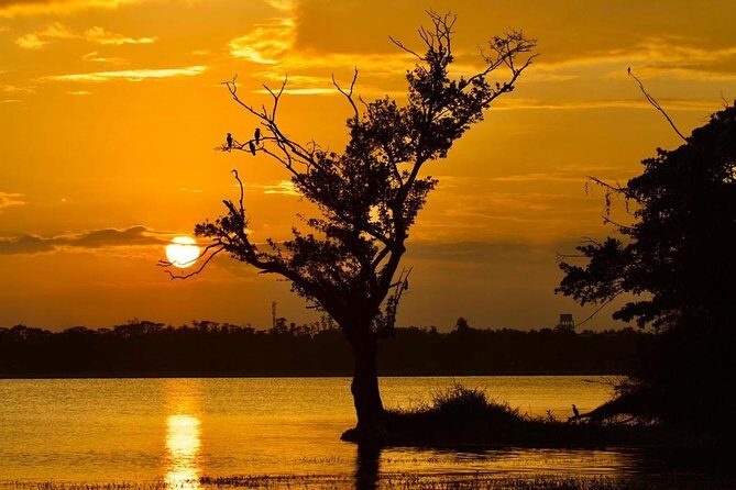 Hikkaduwa Day Excursion - What to Expect from the Hikkaduwa Day Excursion