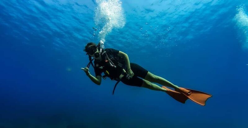 Hikkaduwa: Discover Scuba Diving Experience with Guide - Highlights of the Experience