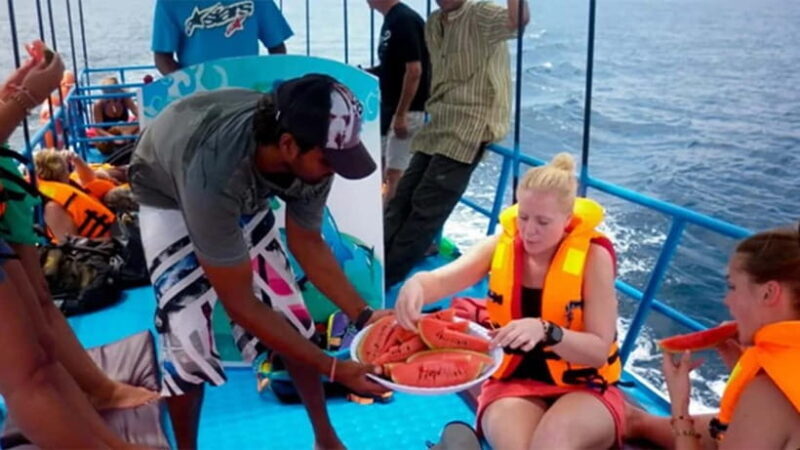 Hikkaduwa/Galle/Ahangama: Whale Watching Tour in Mirissa - The Experience in Detail  