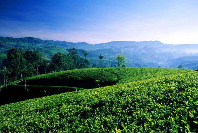 hikkaduwa-galle-weligama-mirissa-day-trip-to-ella-highlands