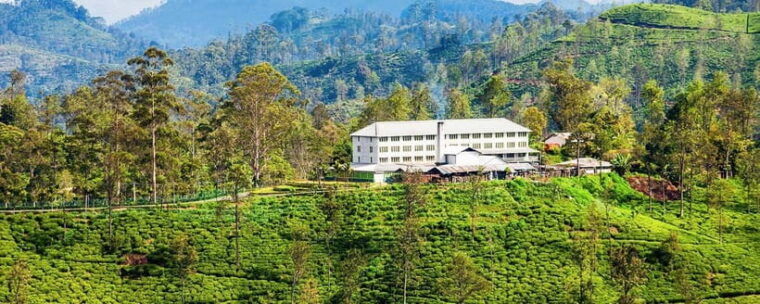 hikkaduwa-galle-weligama-mirissa-day-trip-to-ella-highlands