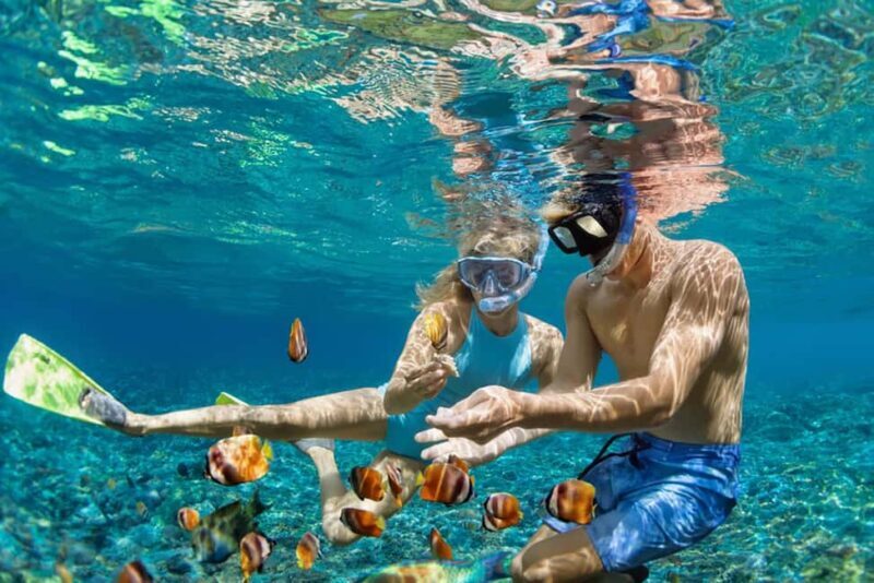 Hikkaduwa Snorkeling Tour: 2 Hours of Underwater Adventure - Who Is This Tour Perfect For?