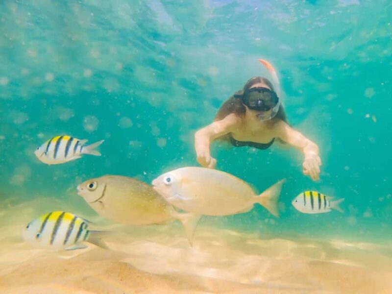 Hikkaduwa Snorkeling Tour: 2 Hours of Underwater Adventure - FAQ