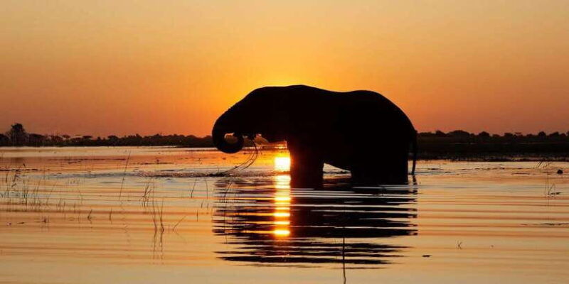 hikkaduwa-unawatuna-weligama-mirissa-yala-safari-to-ella