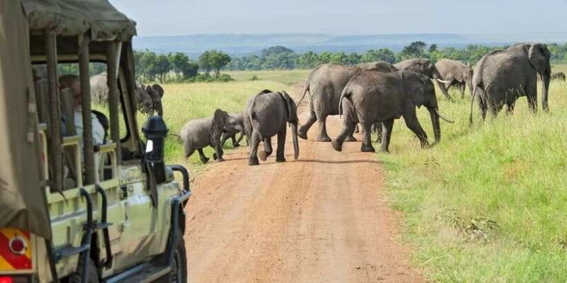 hikkaduwa-unawatuna-weligama-mirissa-yala-safari-to-ella