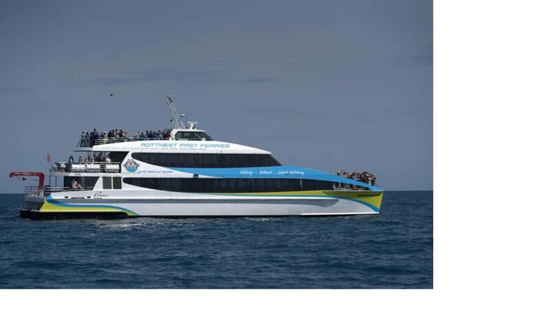 Hillarys Boat Harbour 2-Hour Whale Watching Cruise - 09:00am - Who Will Love This Tour?