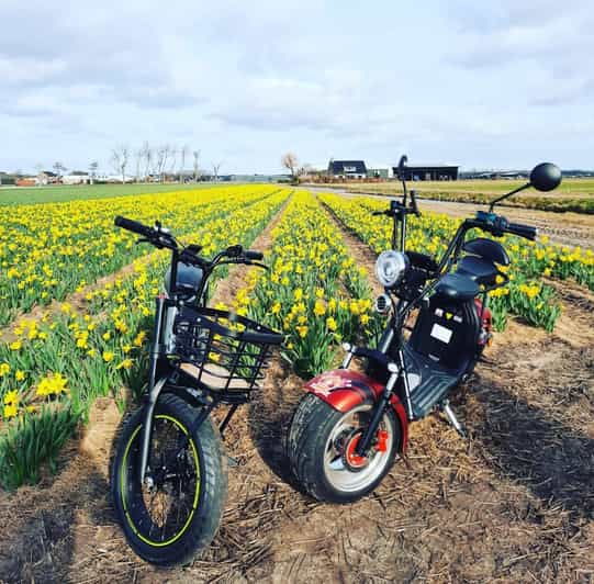 hillegom-e-scooter-or-e-bike-rental-in-the-bulb-region