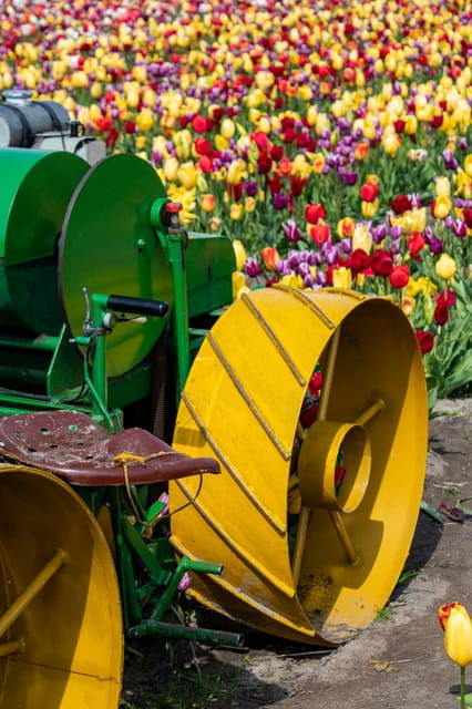 hillegom-tulip-barn-entry-ticket