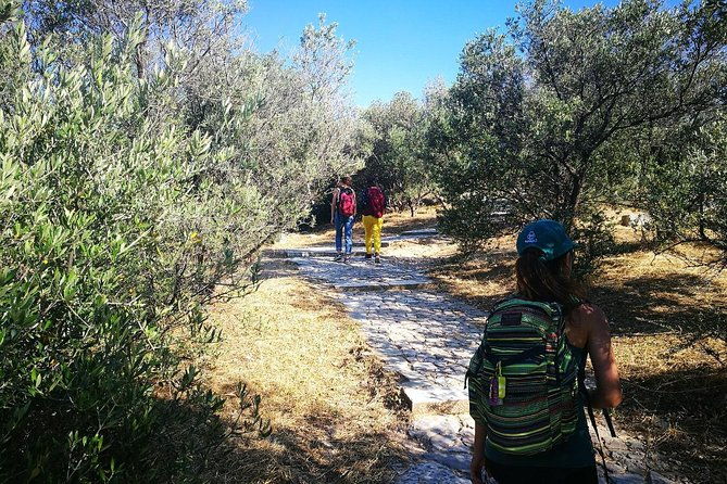 hills-of-athens-walking-tour