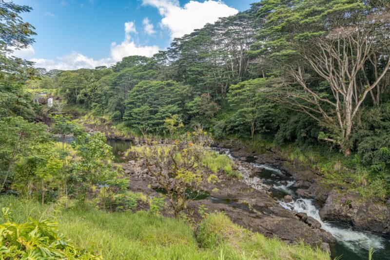 Hilo: Gardens, Waterfalls & Farmers Market Shore Excursion - Who Should Consider This Tour?