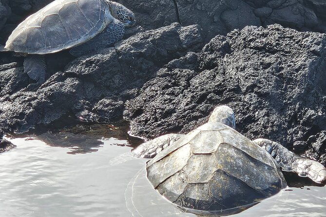 hilo-guided-day-tour-by-native-hawaiians