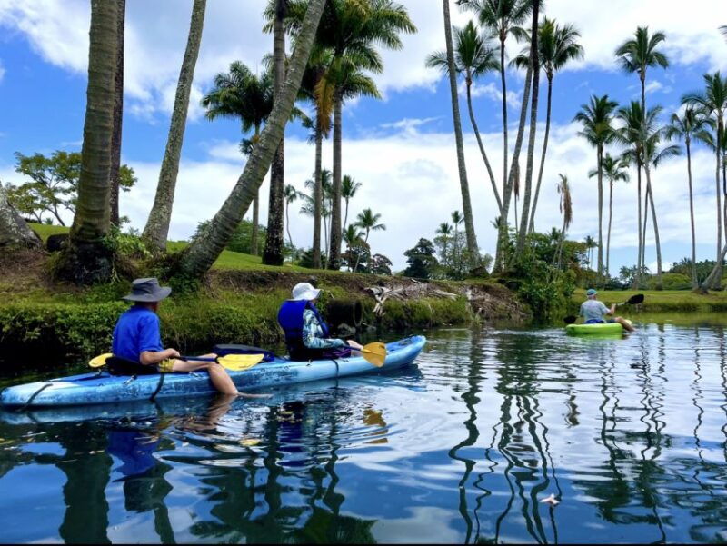 hilo-wailoa-river-to-king-kamehameha-guided-kayaking-tour