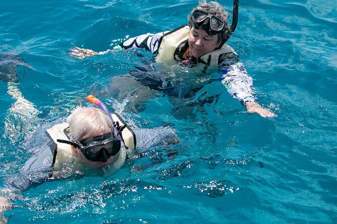 hilton-hawaiian-village-turtle-snorkel-with-optional-lunch