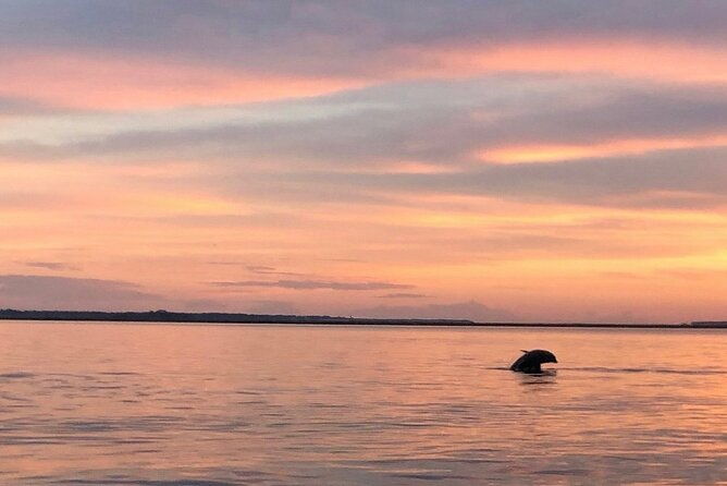 hilton-head-dolphin-watching-cruise-with-fireworks-display-2