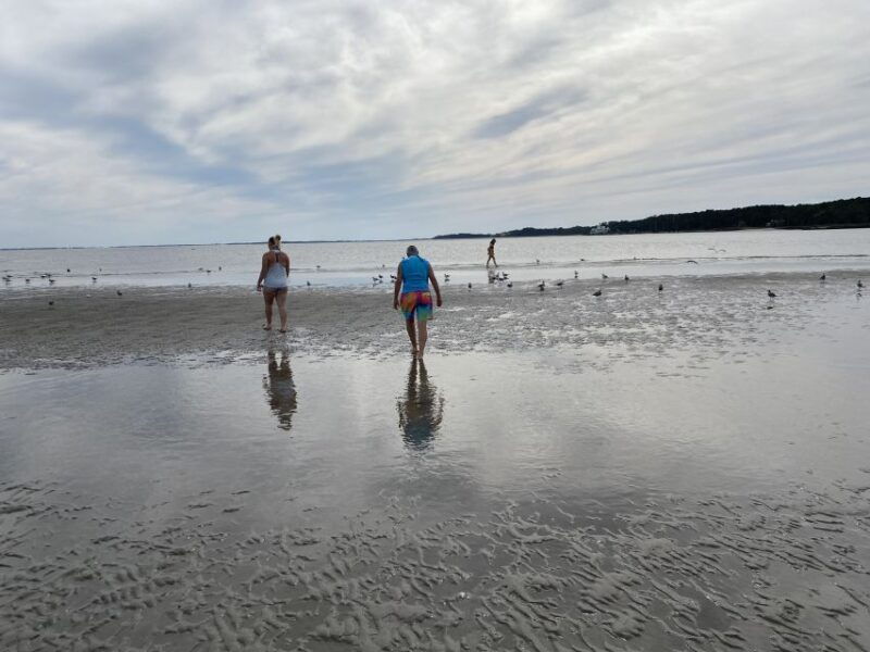 hilton-head-guided-disappearing-island-tour-by-mini-boat
