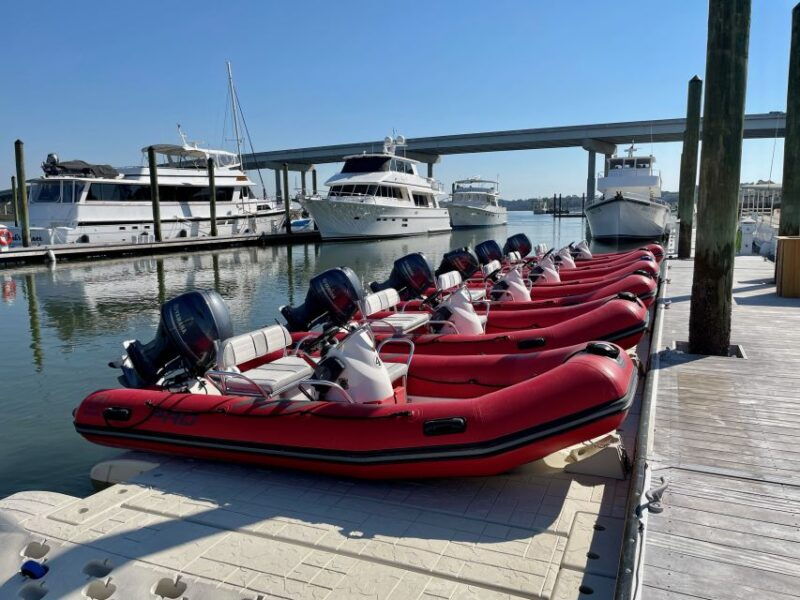 hilton-head-guided-disappearing-island-tour-by-mini-boat