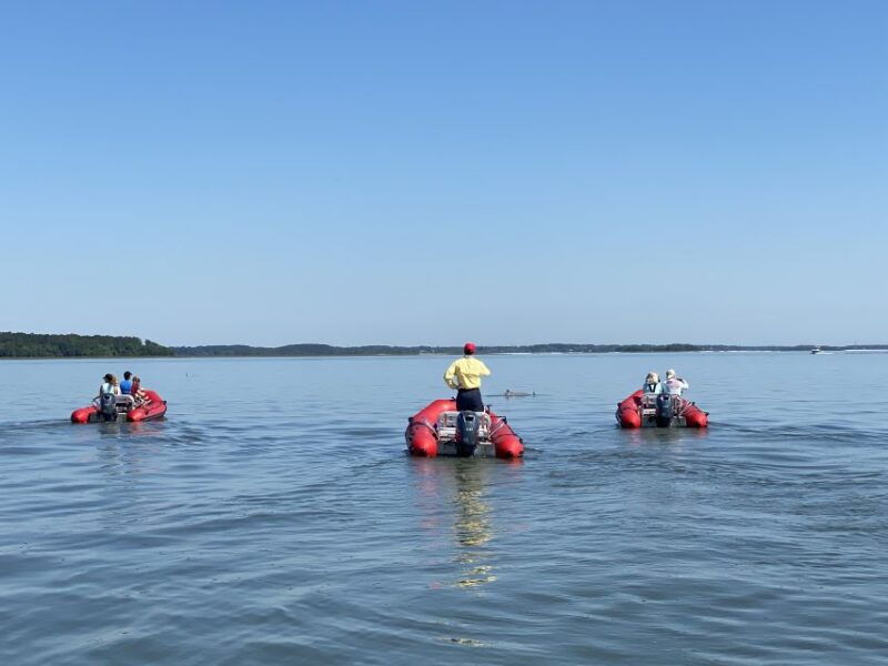 hilton-head-guided-disappearing-island-tour-by-mini-boat