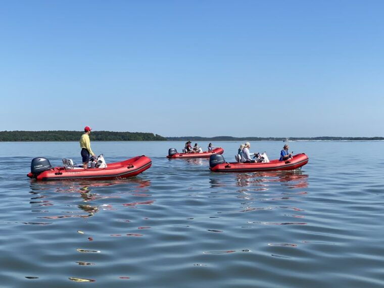 hilton-head-guided-disappearing-island-tour-by-mini-boat