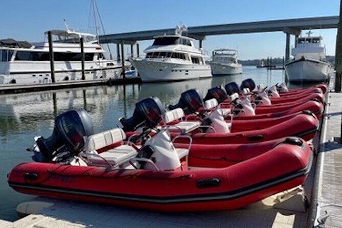 Hilton Head Guided Dolphin Watching & Sightseeing Tour via Mini Boat - Exploring Hilton Head from the Water: What to Expect
