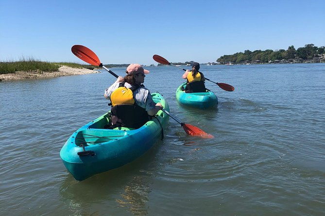 hilton-head-guided-kayak-eco-tour