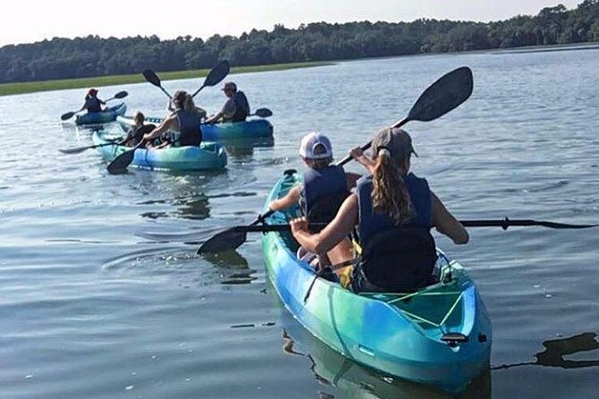 Hilton Head Guided Kayak Tour - What Sets This Tour Apart: Pros and Cons