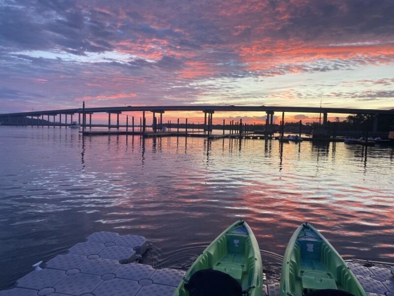 Hilton Head Island: 1.5-Hour Guided Small-Group Kayak Tour - Key Points