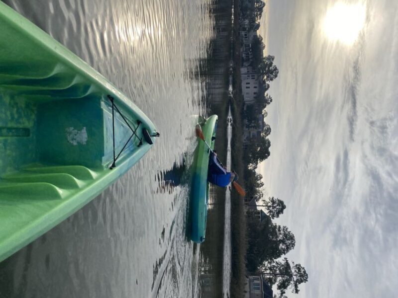 Hilton Head Island: 1.5-Hour Guided Small-Group Kayak Tour - An In-Depth Look at the Kayak Tour Experience