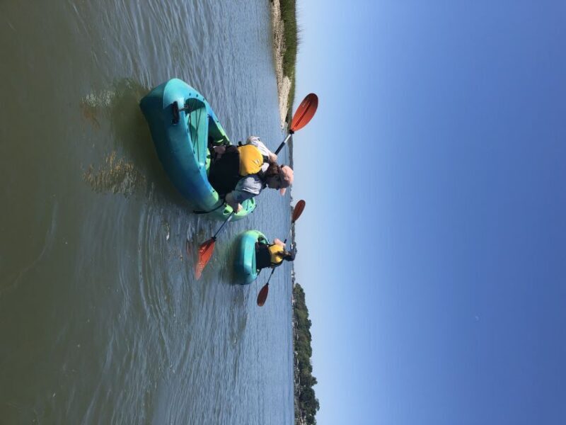Hilton Head Island: 1.5-Hour Guided Small-Group Kayak Tour - Final Thoughts