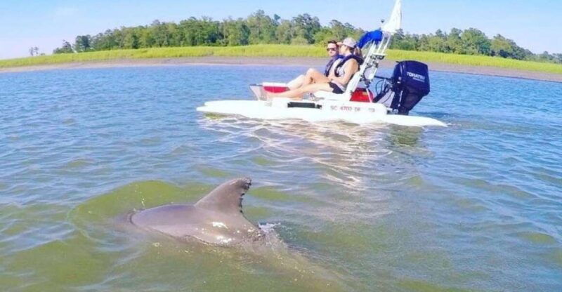hilton-head-island-2-hour-guided-creek-cat-tour