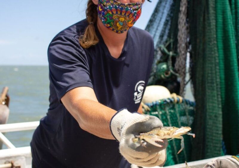 hilton-head-island-crabbing-expedition-boat-tour