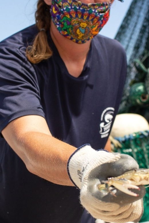 hilton-head-island-crabbing-expedition-boat-tour