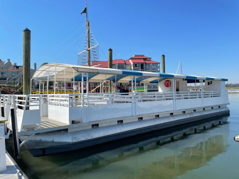 hilton-head-island-daytime-dolphin-watching-boat-tour