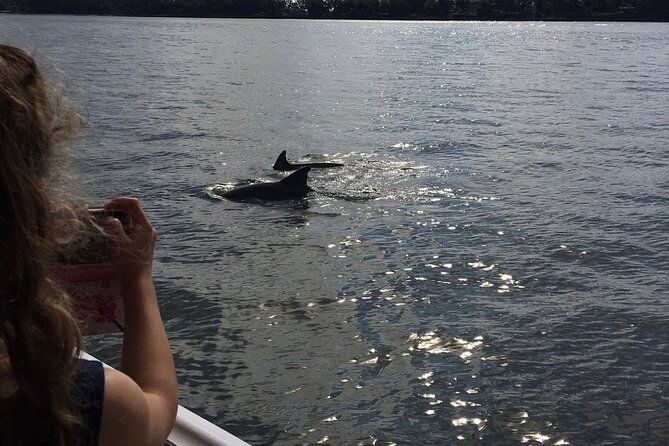 hilton-head-island-dolphin-boat-cruise