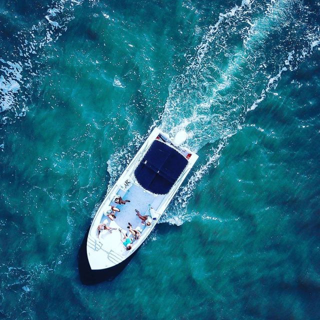 hilton-head-island-dolphin-cruise-nature-tour