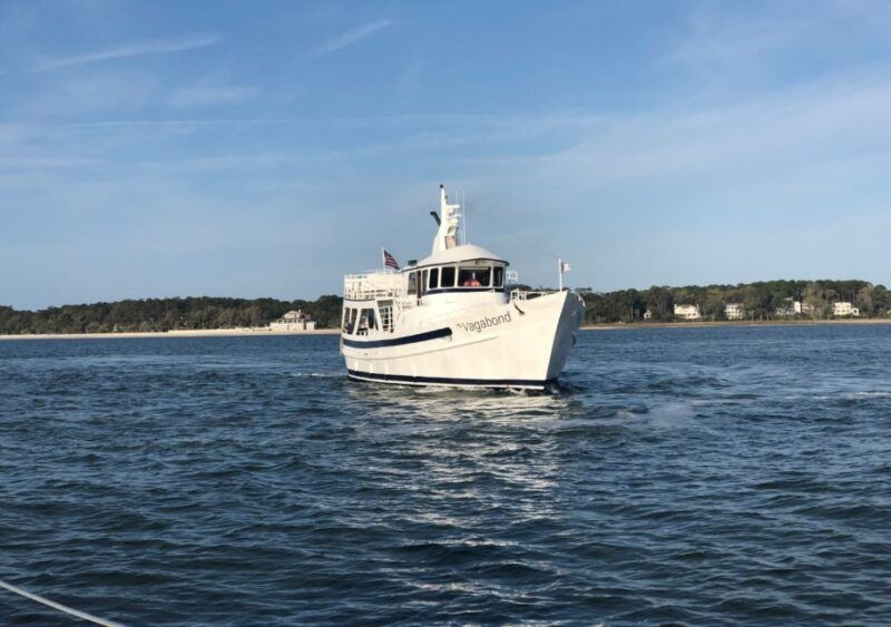 hilton-head-island-dolphin-nature-cruise