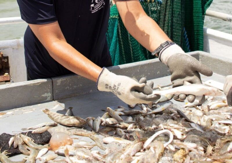 hilton-head-island-shrimp-trawling-boat-tour