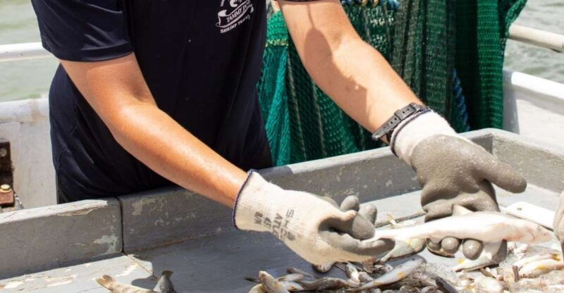 hilton-head-island-shrimp-trawling-boat-tour