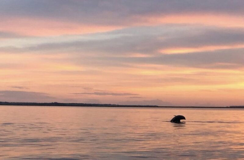hilton-head-island-sunset-creek-cat-boat-tour