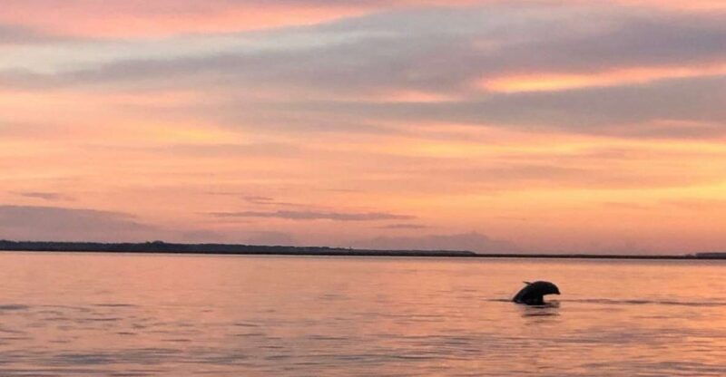 hilton-head-island-sunset-dolphin-watching-tour