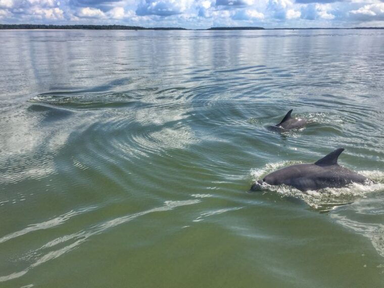 hilton-head-island-sunset-dolphin-watching-tour
