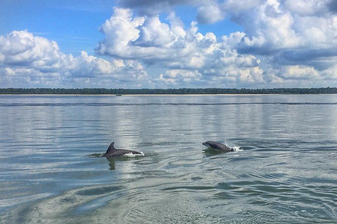 hilton-head-morning-dolphins-donuts-cruise-semi-private